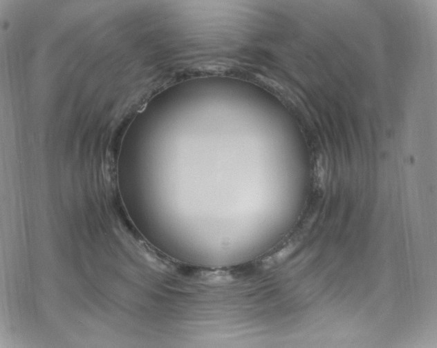 X0000073860424200608101032