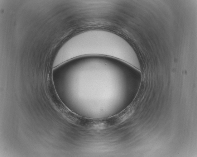 X0000073860456200608101032