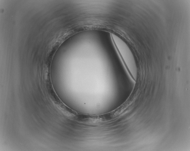 X0000073860458200608101032