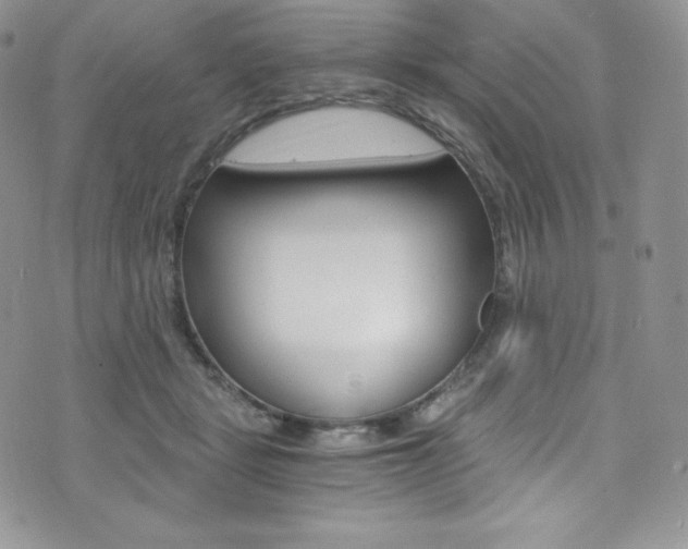 X0000073860461200608101032