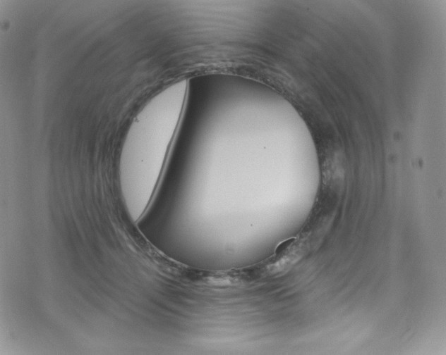 X0000073860464200608101032