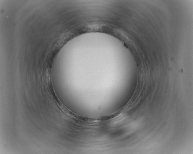 X0000073860467200608101032
