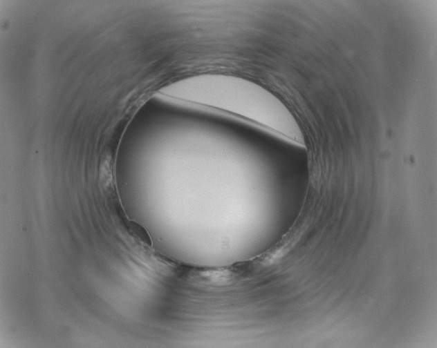 X0000073860478200608101032