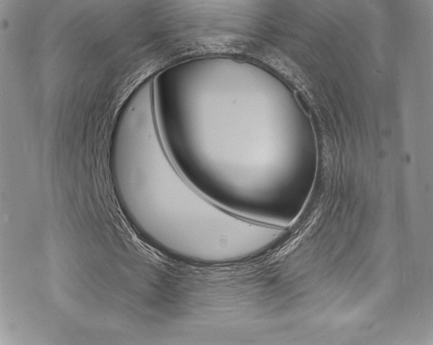 X0000073860481200608101031