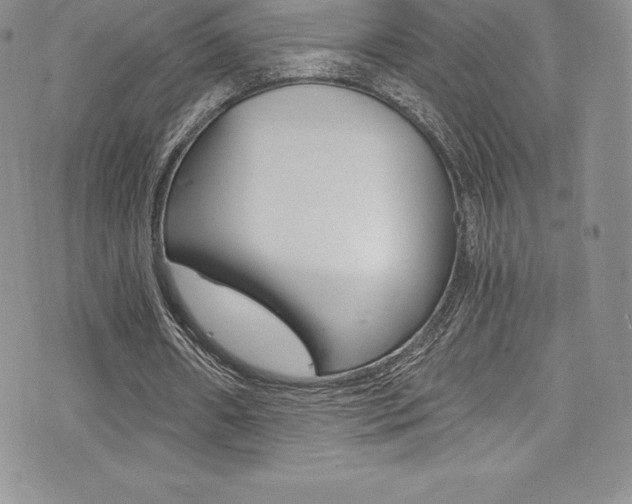 X0000073860482200608101031