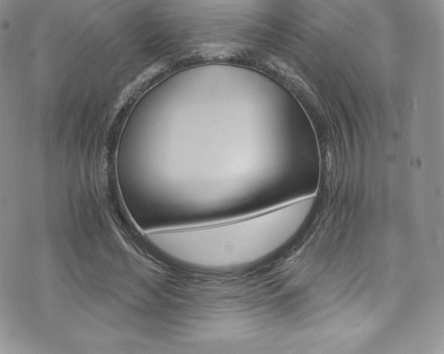 X0000073860492200608101031