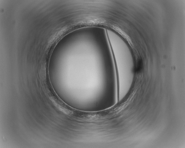 X0000073860493200608101031
