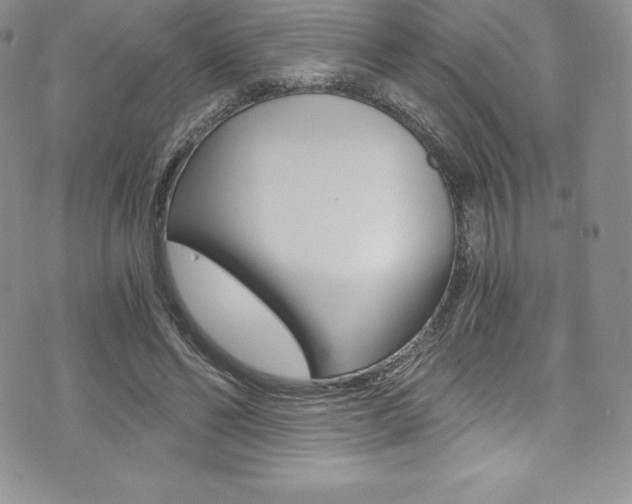 X0000073860494200608101031