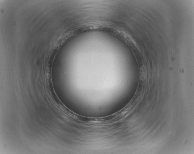 X0000073860509200608101031