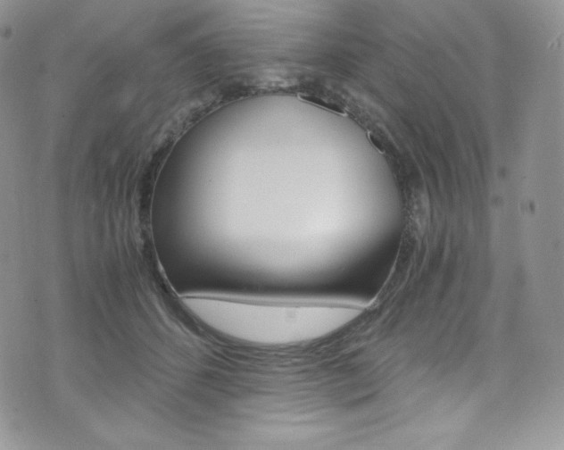 X0000073860512200608101031