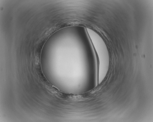 X0000073860517200608101031