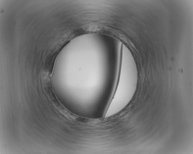 X0000073860521200608101031