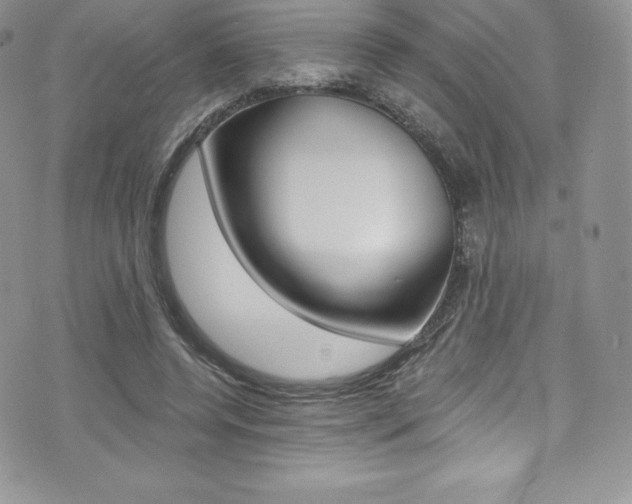 X0000073860544200608101030