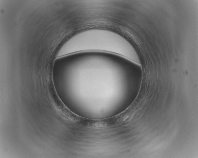 X0000073860546200608101030