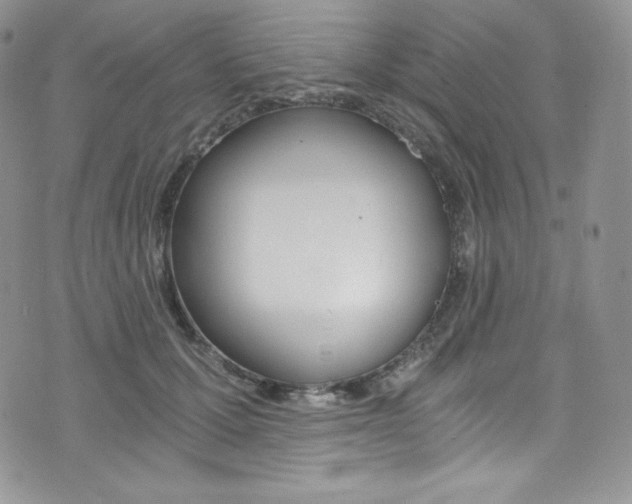 X0000073860607200608101029