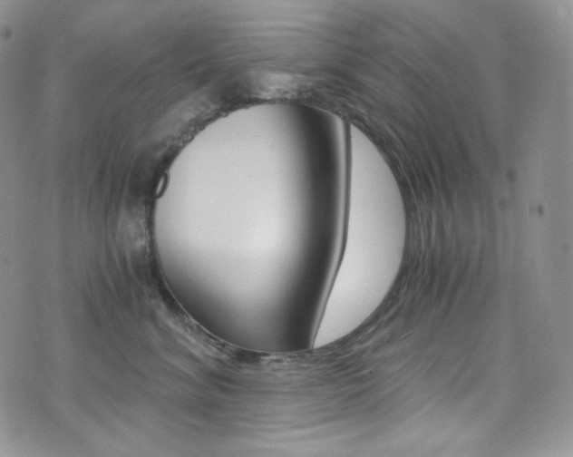 X0000073860620200608101029