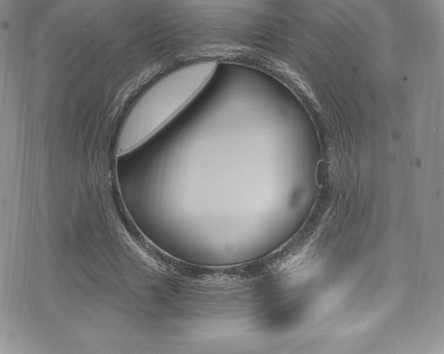 X0000073860633200608101028