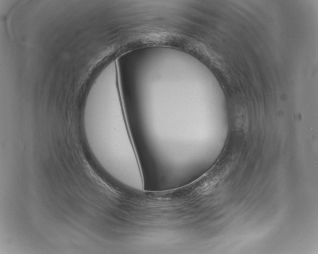 X0000073860637200608101028
