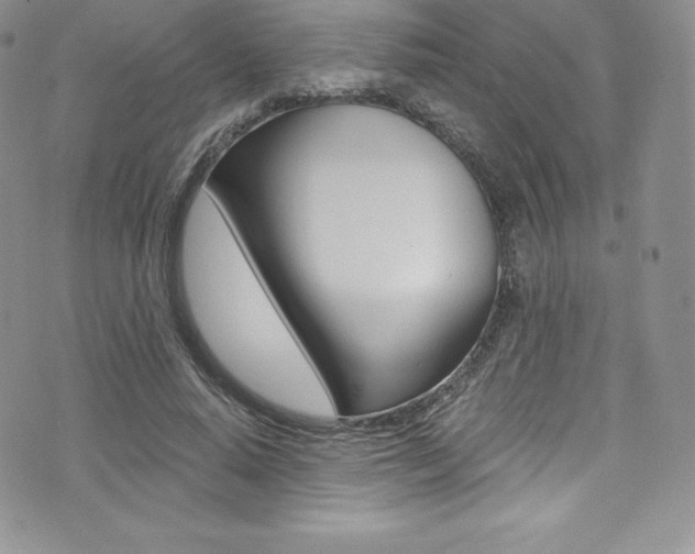 X0000073860640200608101029