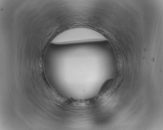 X0000073860661200608101029