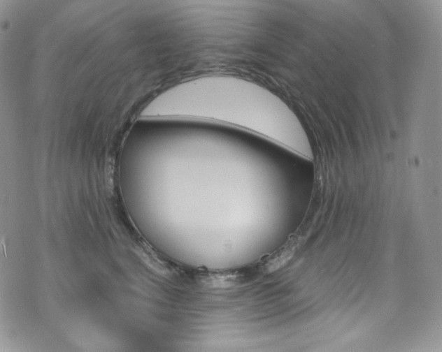 X0000073860664200608101029