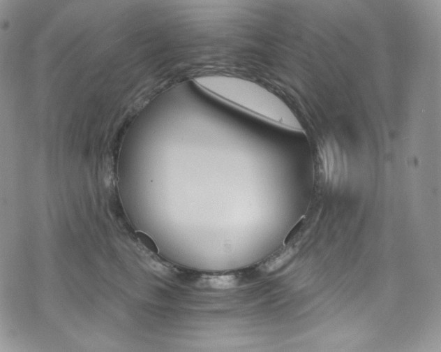 X0000073860665200608101029