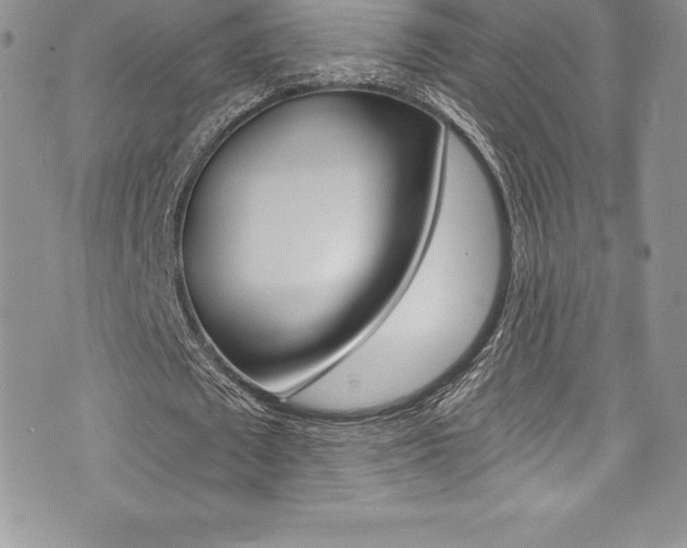 X0000073860673200608101028