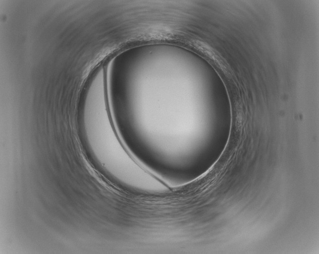 X0000073860677200608101028