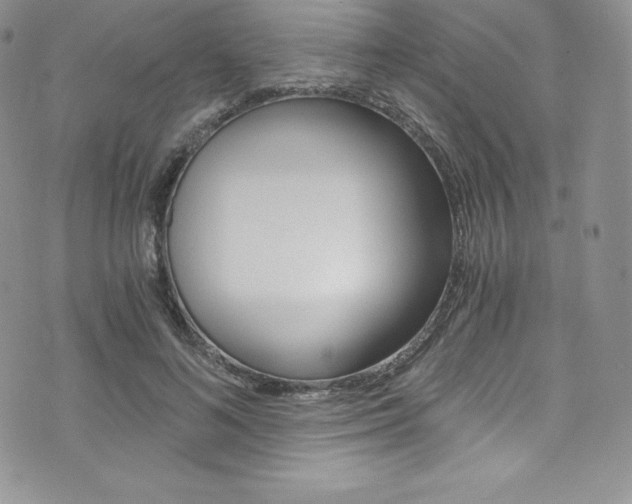 X0000073860692200608101028