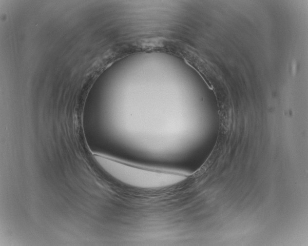 X0000073860704200608101028