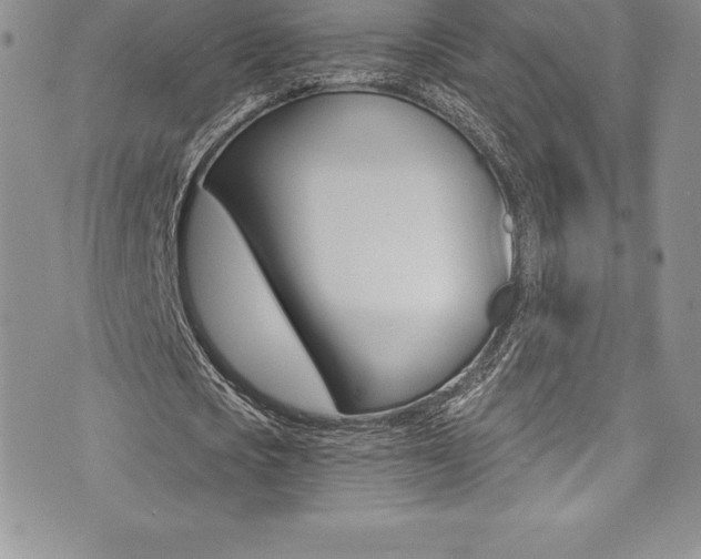 X0000073860721200608101027