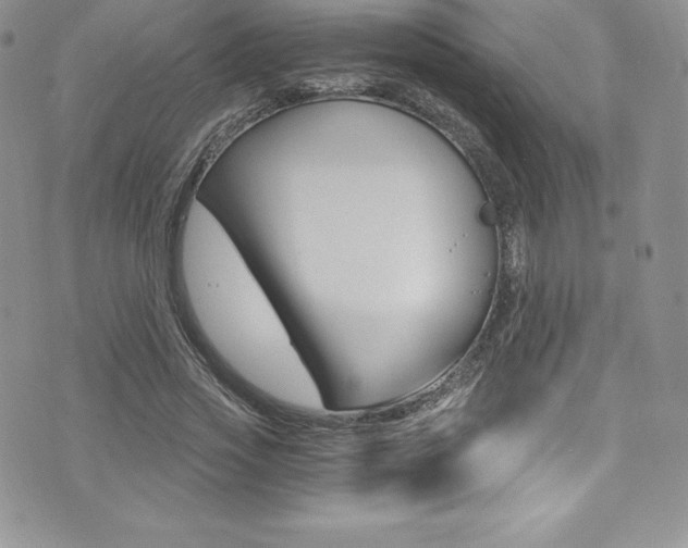 X0000073860733200608101027