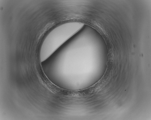 X0000073860738200608101027