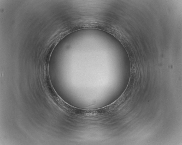 X0000073860744200608101027