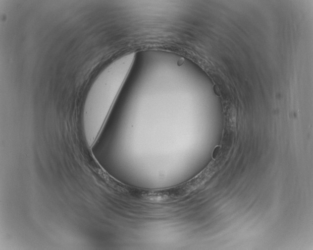 X0000073860746200608101027