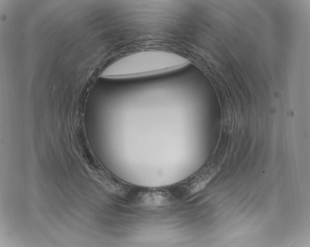 X0000073860751200608101027