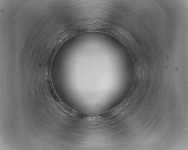 X0000073860752200608101027