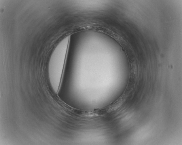 X0000073860754200608101027