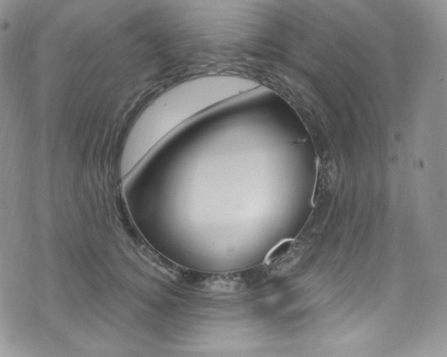 X0000073860756200608101027