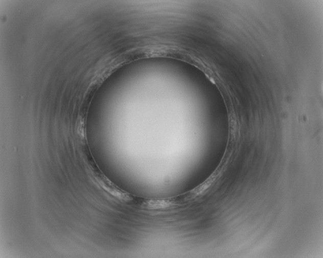 X0000073860766200608101027