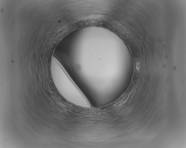 X0000073860771200608101027