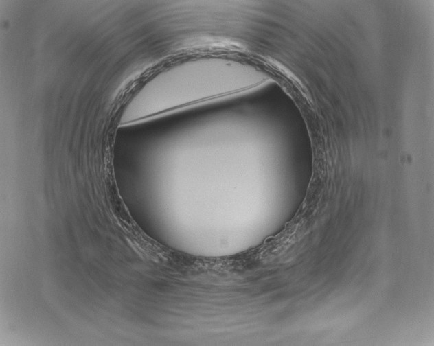 X0000073860775200608101027