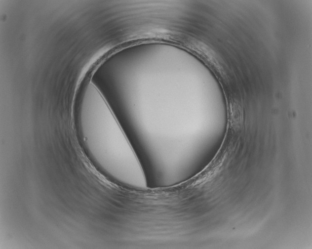 X0000073860780200608101027