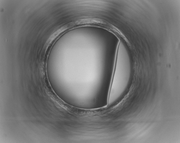 X0000073860786200608101026