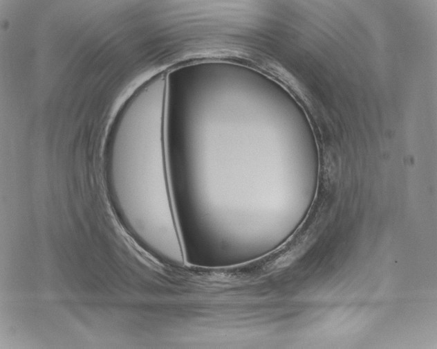 X0000073860787200608101026