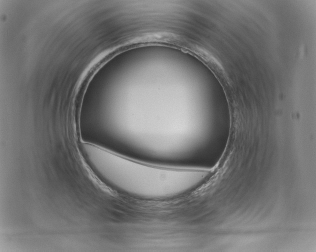 X0000073860792200608101026