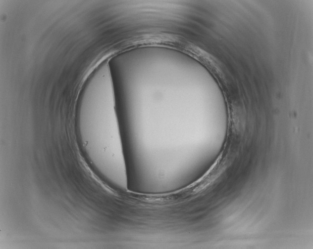 X0000073860794200608101026