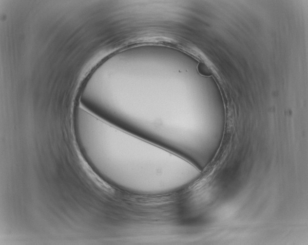 X0000073860795200608101026
