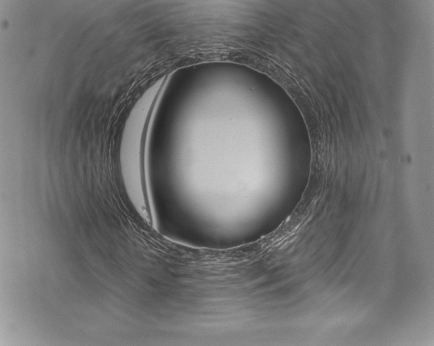 X0000073860818200608101025
