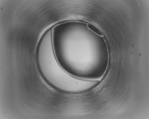 X0000073860838200608101026